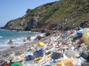 Plastic waste on beach